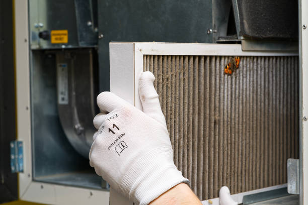 Best HVAC System Cleaning  in Nocatee, FL