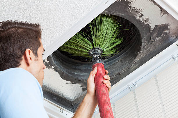 Best Affordable Duct Cleaning Services  in Nocatee, FL
